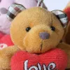 Brown bear plush toy, cute throw pillow, fabric home decoration, children's gift Application Scenario